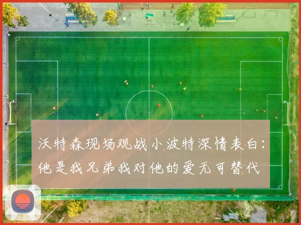 沃特森现场观战小波特深情表白：他是我兄弟我对他的爱无可替代